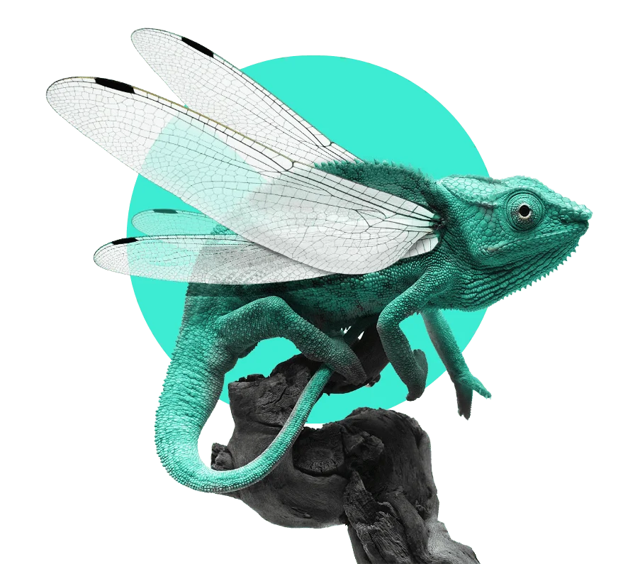 Caméléon - Expertises RJS